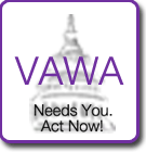 Download the VAWA Reauthorization Toolkit